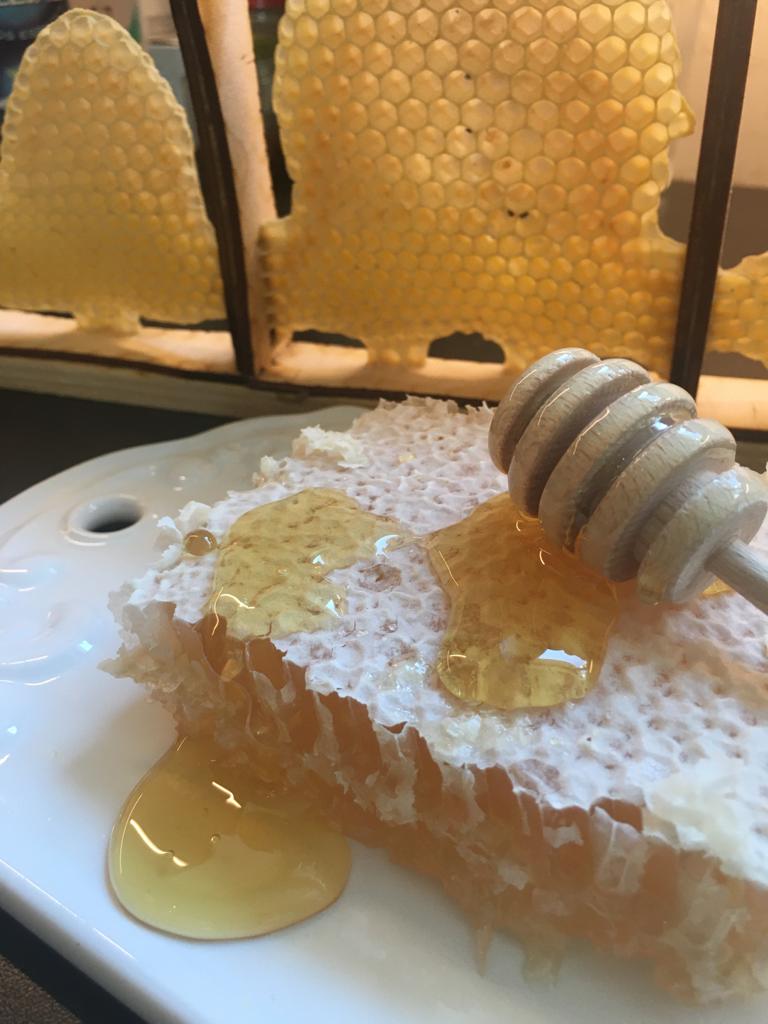 plaster miodu na tle ramki