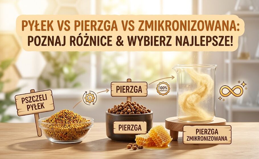 przedstawienie drogi od pyłku do pierzgi zmikronizowanej